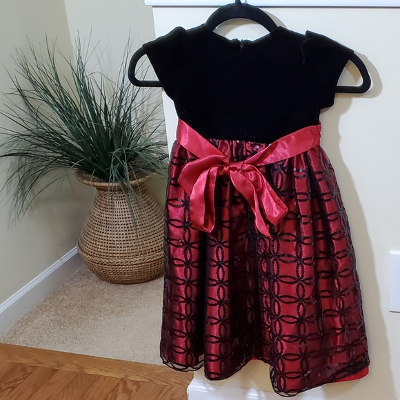 Cinderella Velvet Embroidered Girls Dress - Picture 2 of 8